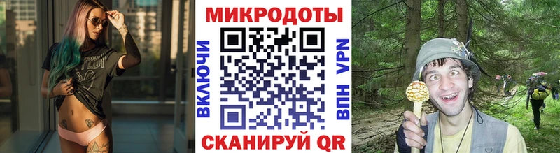 Псилоцибиновые грибы ЛСД  Купить закладки  Шарыпово 
